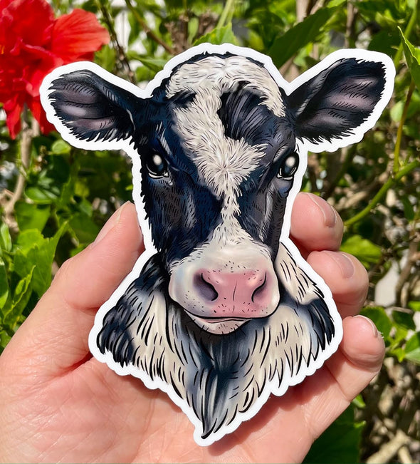 Holstein Cow Calf Vinyl Decal - Farming Bumper Sticker