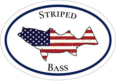 WickedGoodz Oval Vinyl Striped Bass Decal - Fishing Bumper Sticker -  Perfect Ocean Fishing Gift