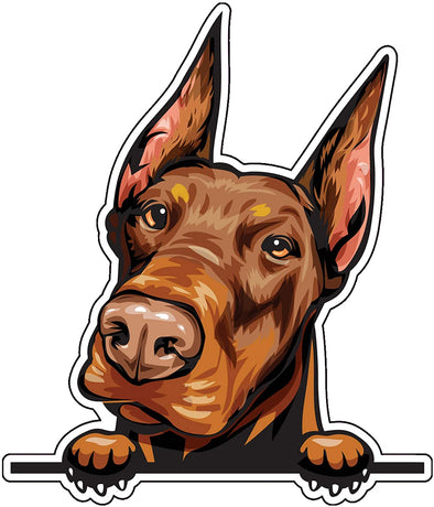 Doberman Pinscher Vinyl Decal - Dog Breed Bumper Sticker - for Laptops Tumblers Windows Cars Trucks Walls - Brown Color